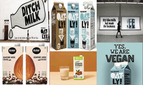 An approach to branding – vegan, edible oil and kore
