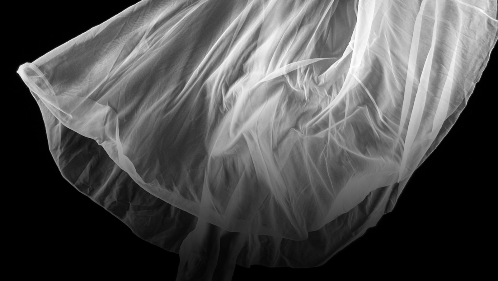 Imagination Cast Image 1