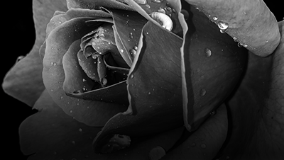 Imagination Cast Image 2
