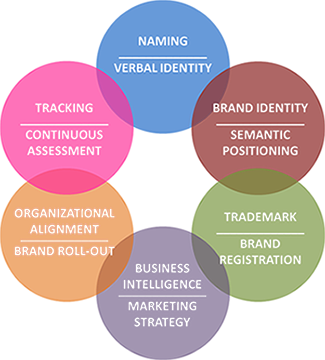 Brand Strategy Creation